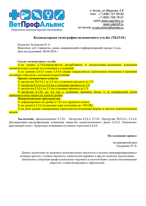 Беленькая И. А. соб СЕРВАНТЕС