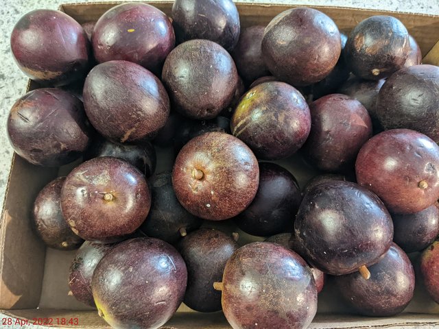 [Image: PXL-20220428-224338470-MP.jpg]