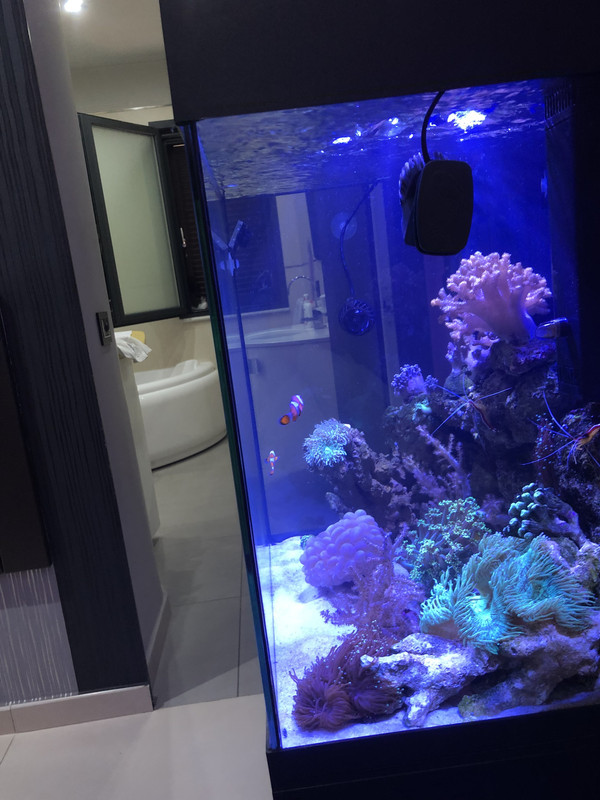 A9AA3E2D-3827-45B9-B75C-9977CD51D63A