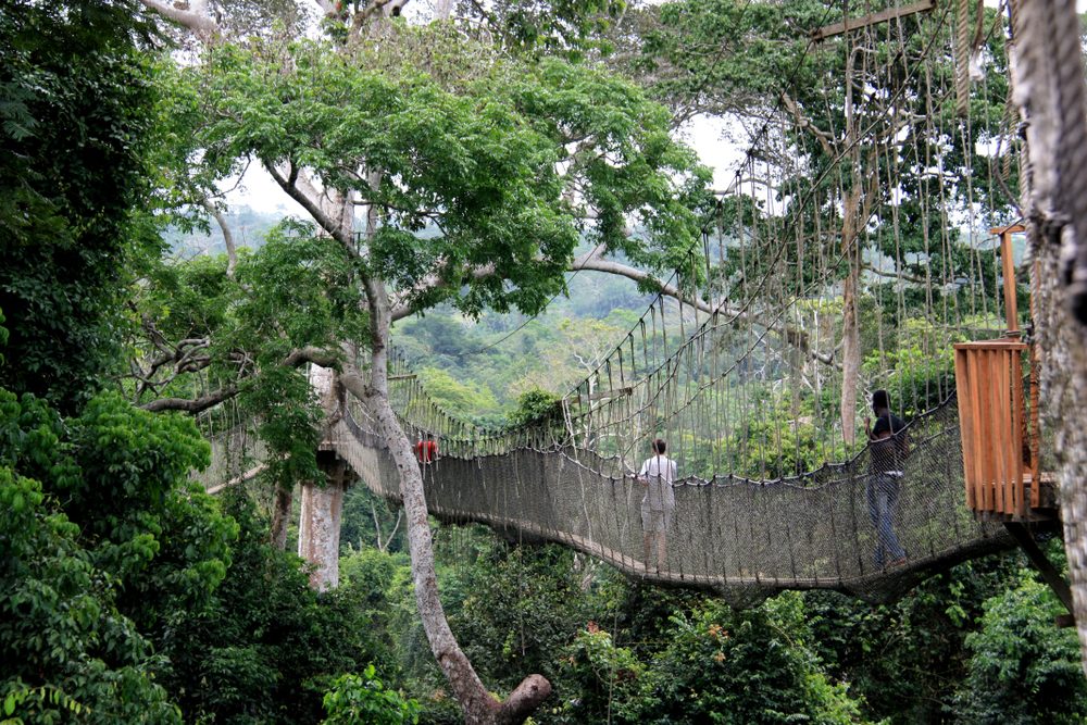 Kakum National Park Canopy Walkway