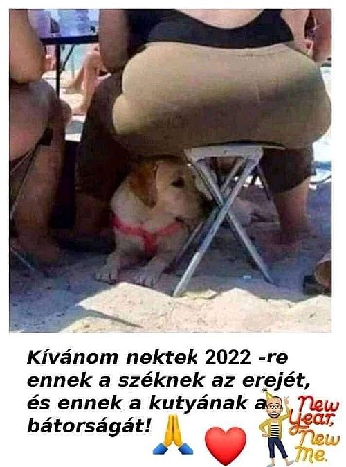 https://i.postimg.cc/3JmsXQnN/kivanom-nektek.jpg