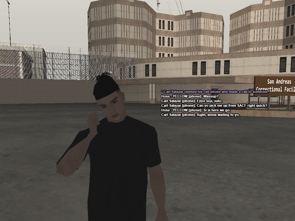 samp-28-06-2023-13-38-10.png