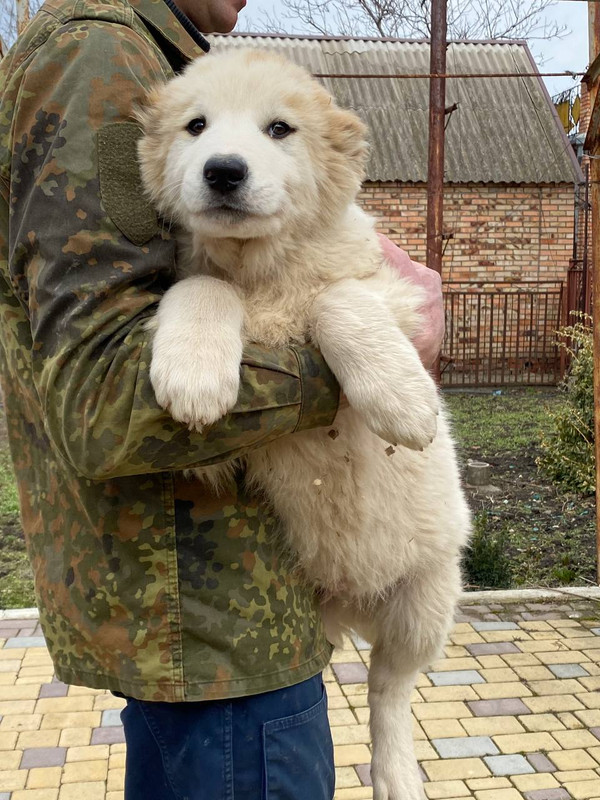 6170CC7D-6F1D-4DD8-82FB-477EB219A936