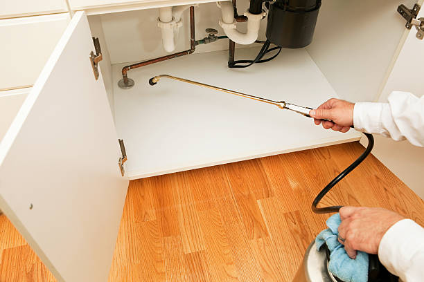 Pest Control Orlando