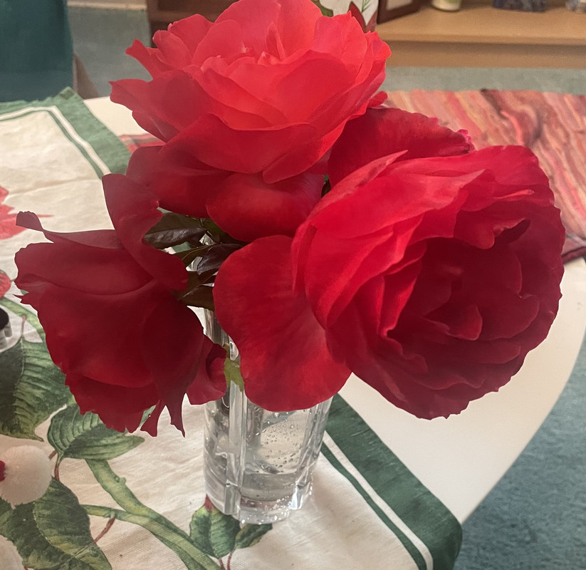 636-B5-E2-F-175-E-4-FAA-B3-C9-84-BD8-F4-AAA03-1-201-a