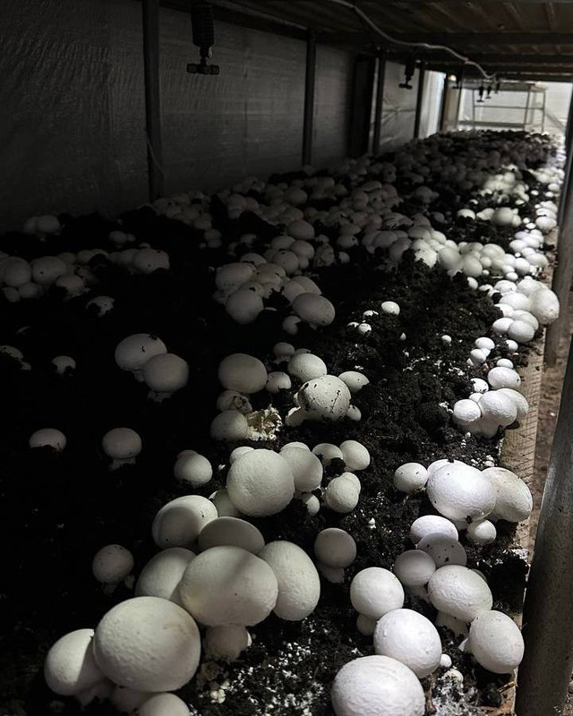 photo_2024-03-16_19-26-13