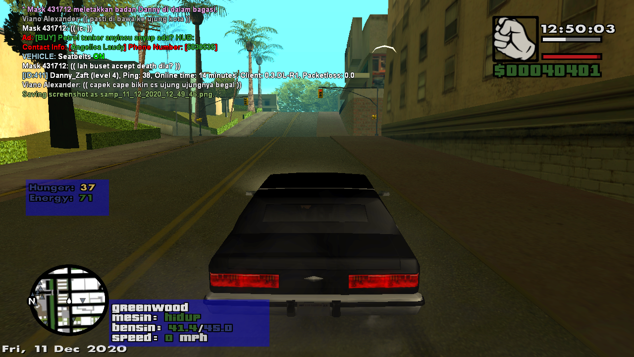 samp-11-12-2020-12-50-03.png
