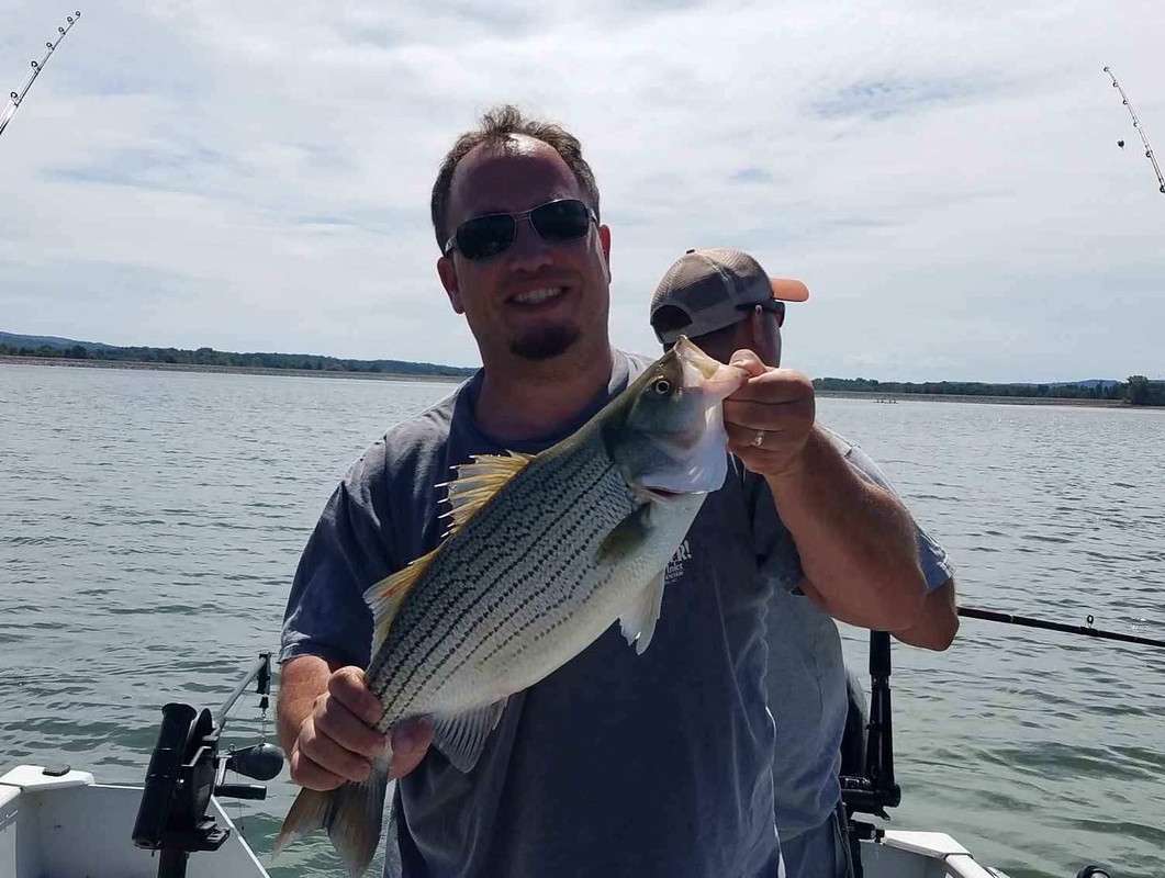 569FF4B5-189F-48D7-B9CC-E2079D7FD931