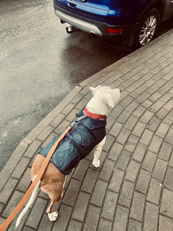 03018800-9DEE-49CE-B87C-64B6A00B2B52