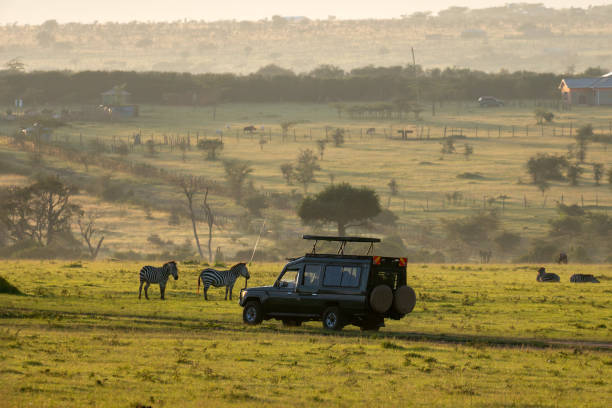 safari in Tanzania