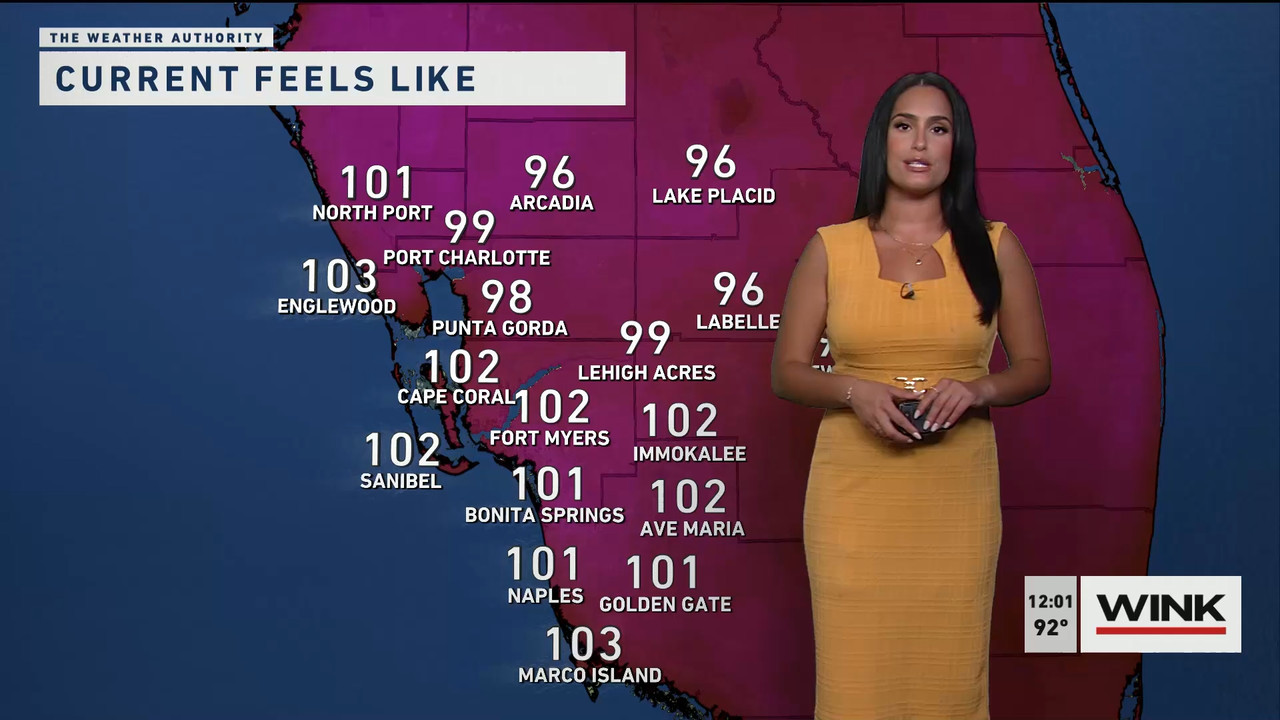 06.15 - 17.00.00 - The WINK Noon News. Midday news update..ts_snapshot_07.37.474
