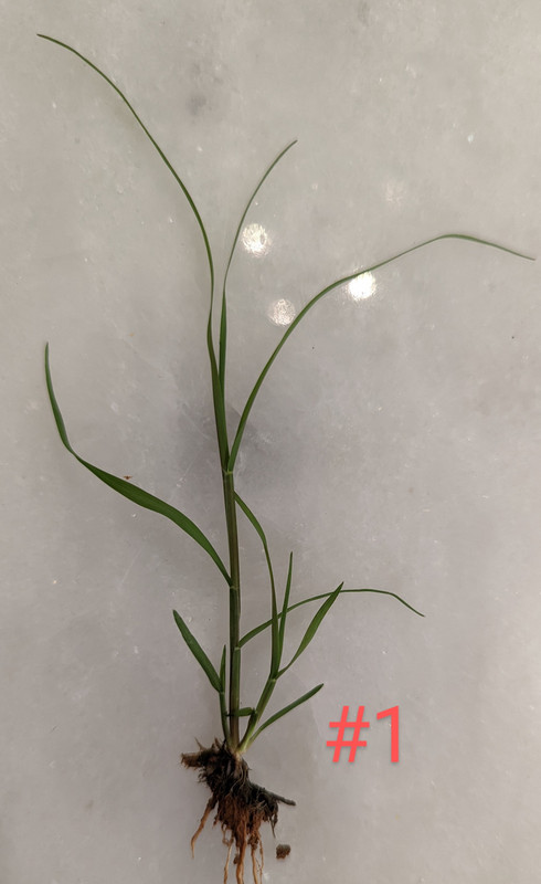 PXL_20220728_234438865.MP~2