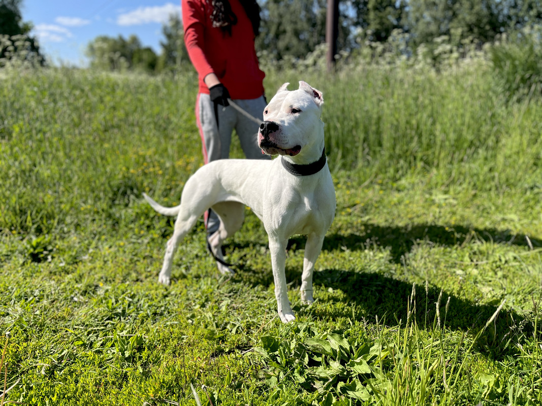 148CBC68-3213-40E8-806D-EB81F09AD485