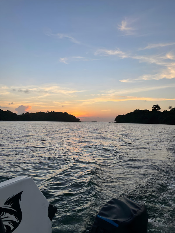 Boat 6