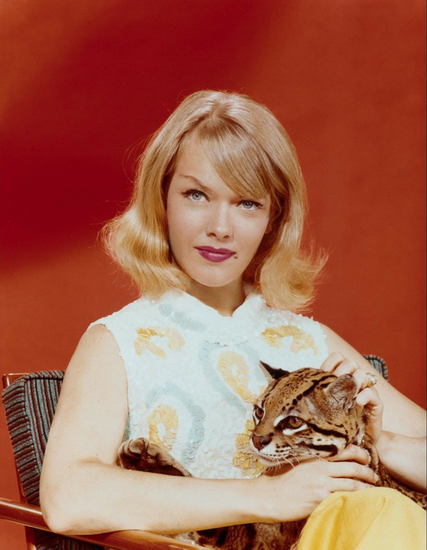 anne francis d30