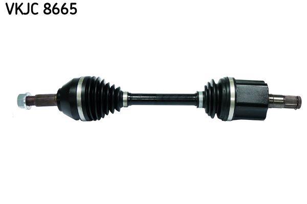 8665.jpg
