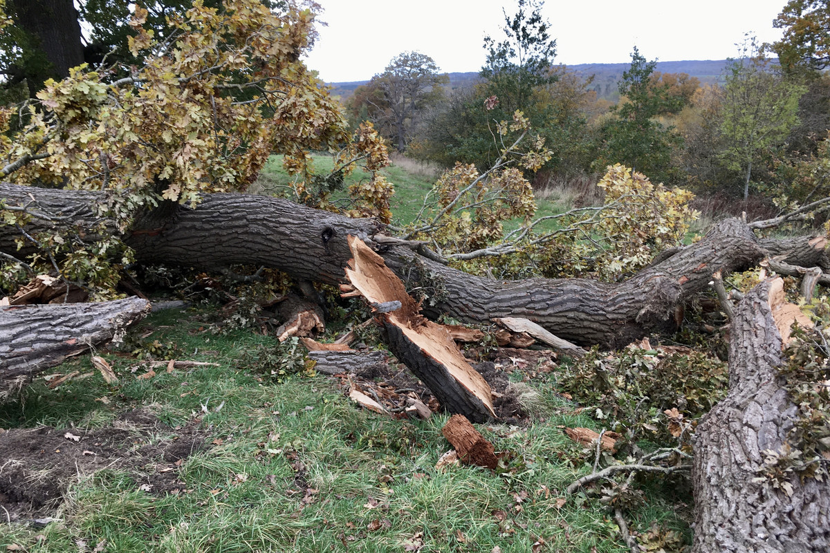 B846E84A-2836-4F4C-89ED-08850A2E069F