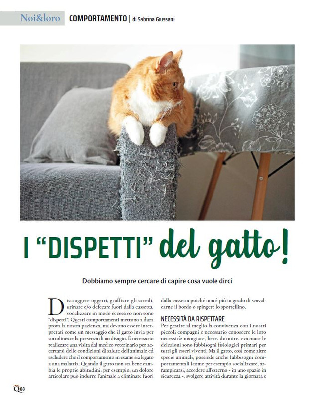 QuattroZampe Dic 2023-Gen 2024 (11)