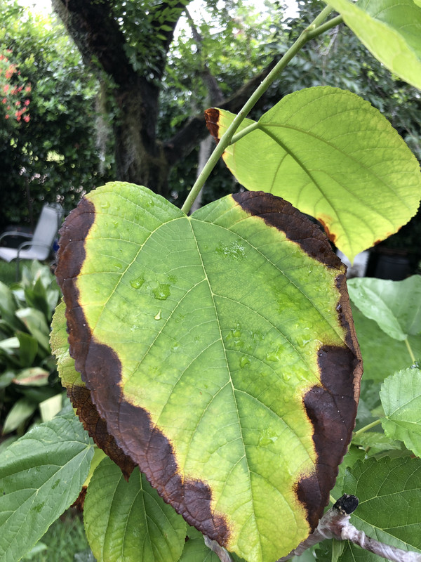 8E96280F-B048-45CD-A0E7-8A9467B4D0E7