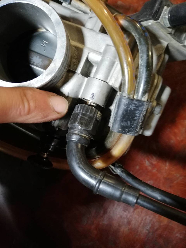 8A70338F-FD57-455C-89FA-03D351902433