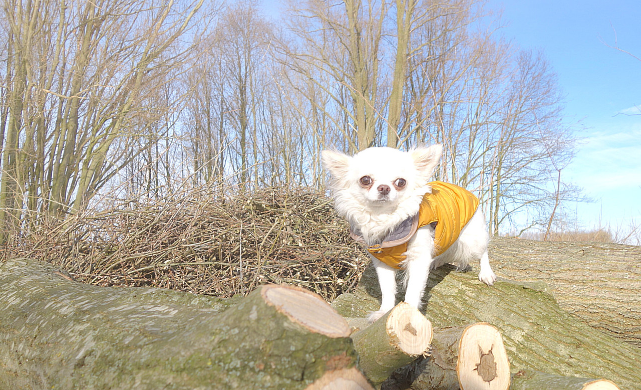 Lumii_20210214_154840127