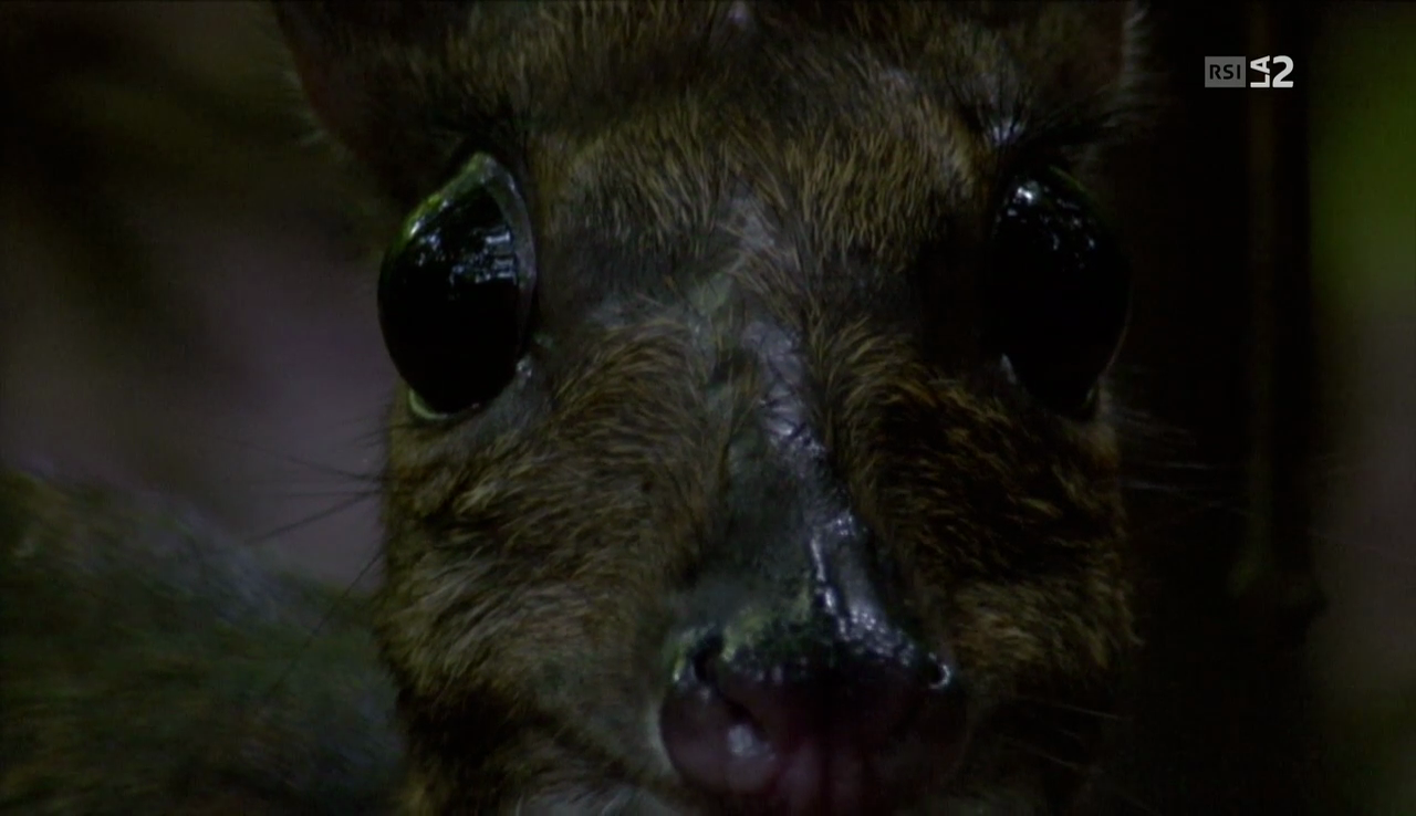 vlcsnap-2016-12-11-08h24m55s934