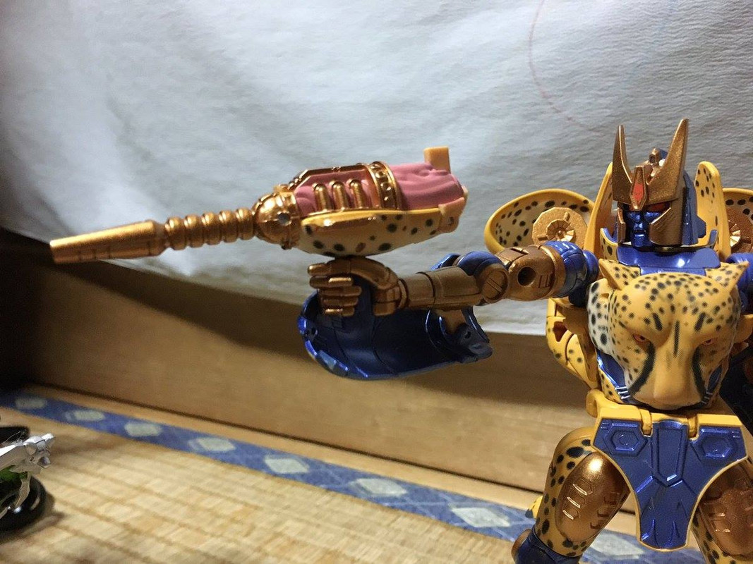 16904591_413135592370207_2058039675019506094_o