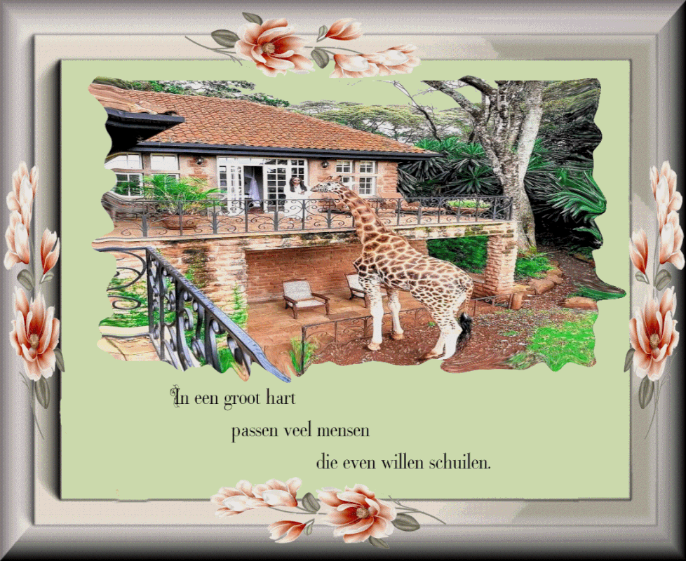 plaatje-29-juni-2021