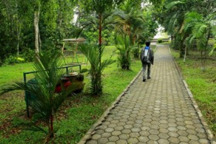 Hutan Kota Muhammad Sabki di Jambi.