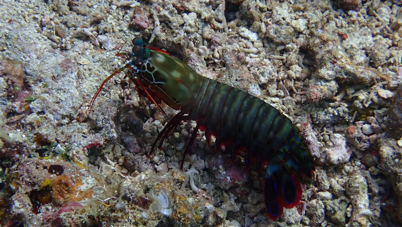 457216DB-73F9-4721-8DDA-885CB573861B