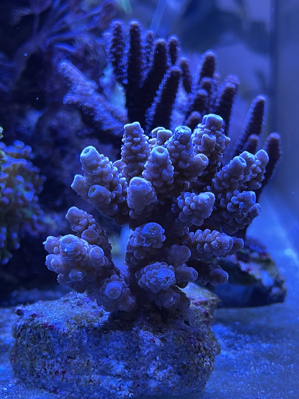 2CE9BE98-E27A-4A0D-B412-12C409758CEB