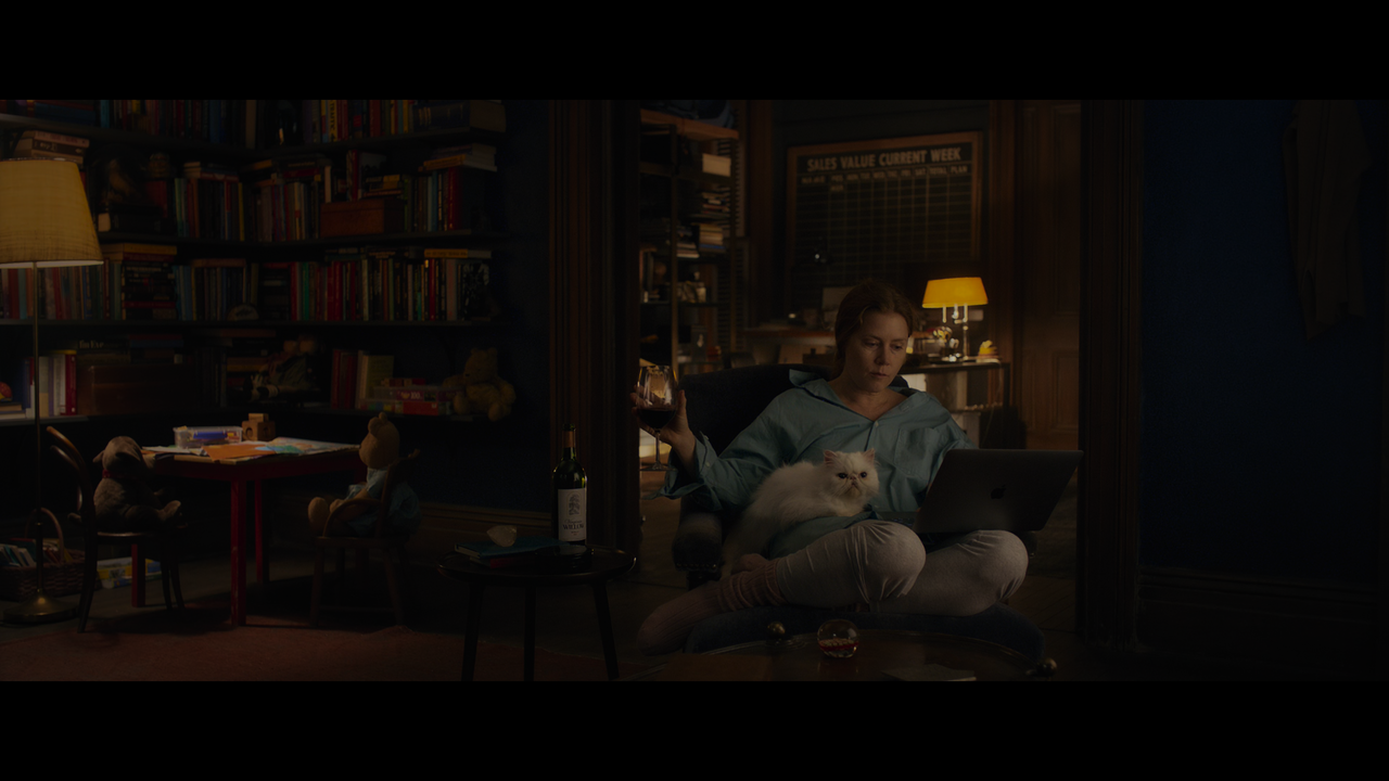 The.Woman.in.the.Window.2021.2160p.NF.WEB-DL.DoVi.HDR10.H.265-Нечипорук.mkv_snapshot_00.31.31.825