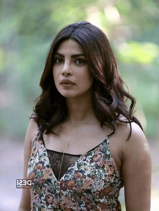 scraped-img-1784120424029.gif