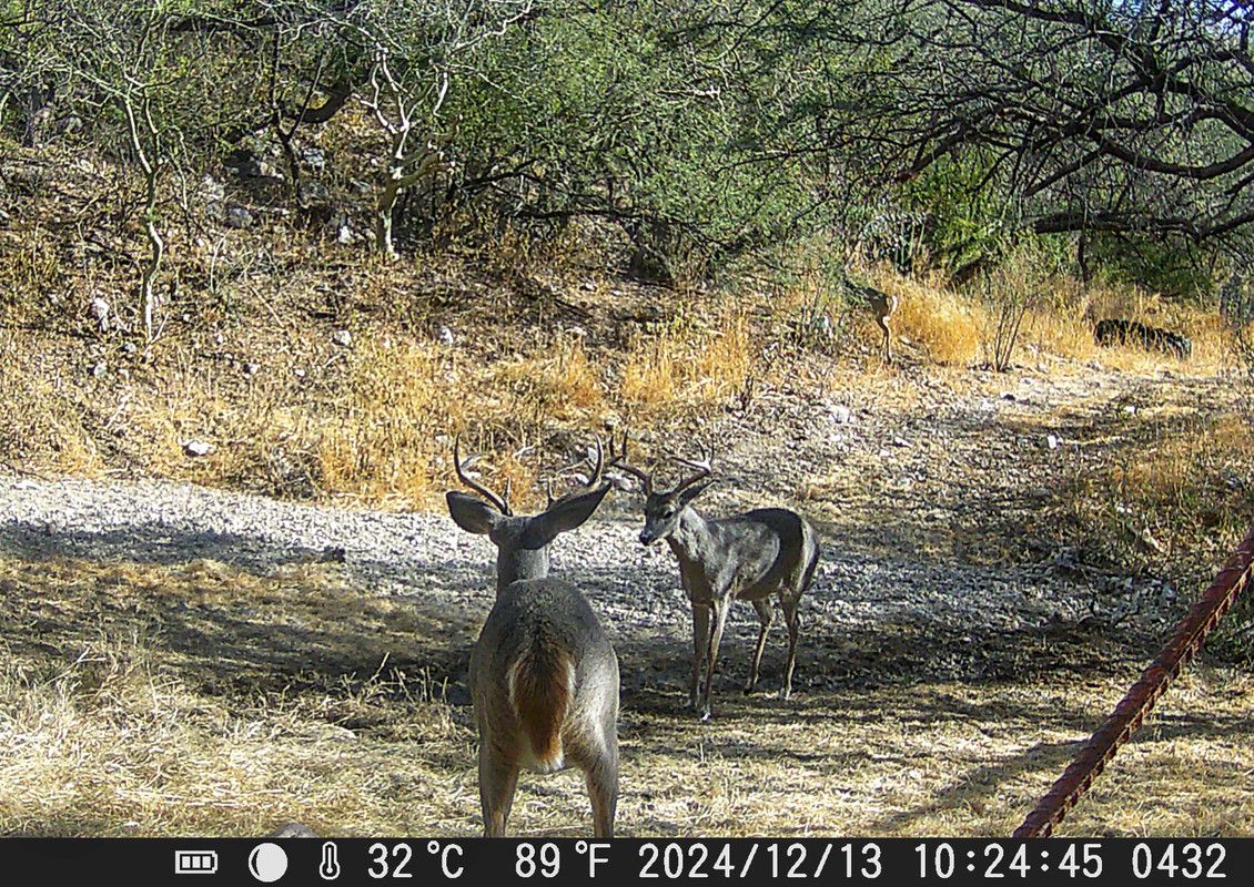 DSCF0432-01.jpg