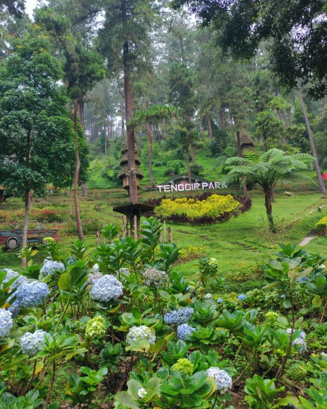Tenggir Park, pilihan tempat wisata di Karangayar yang lagi hits.