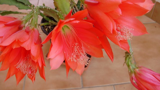 P2170026