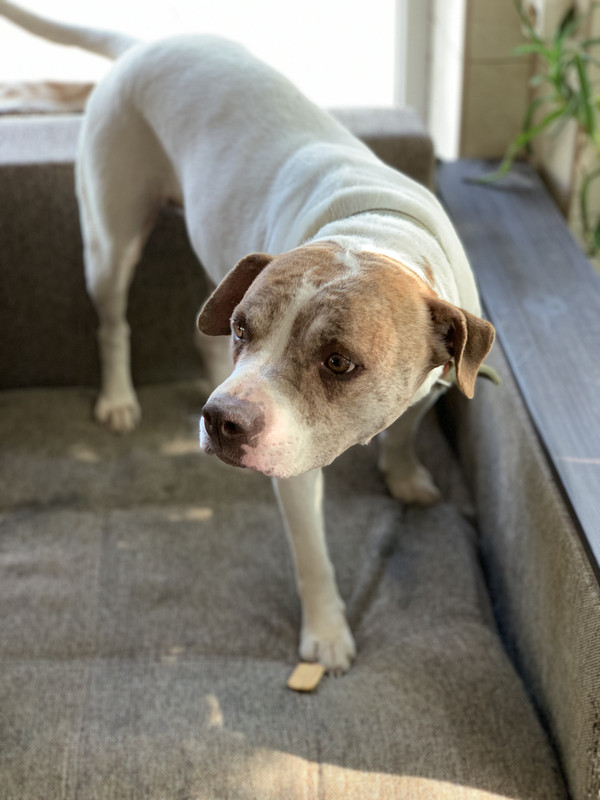 33ED0E8D-E335-44C2-BE4A-F36A83278631