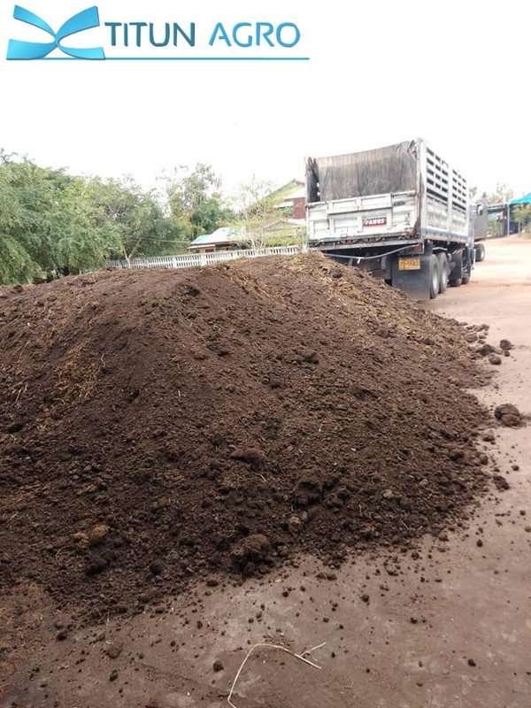 ขี้วัว_๒๐๐๙๒๕_9