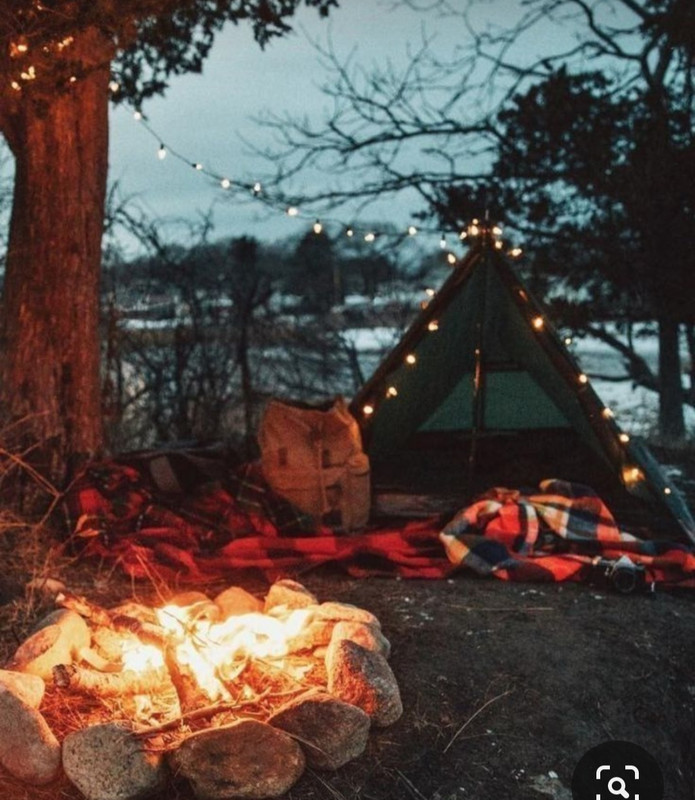 Screenshot_20231112_160714_Pinterest