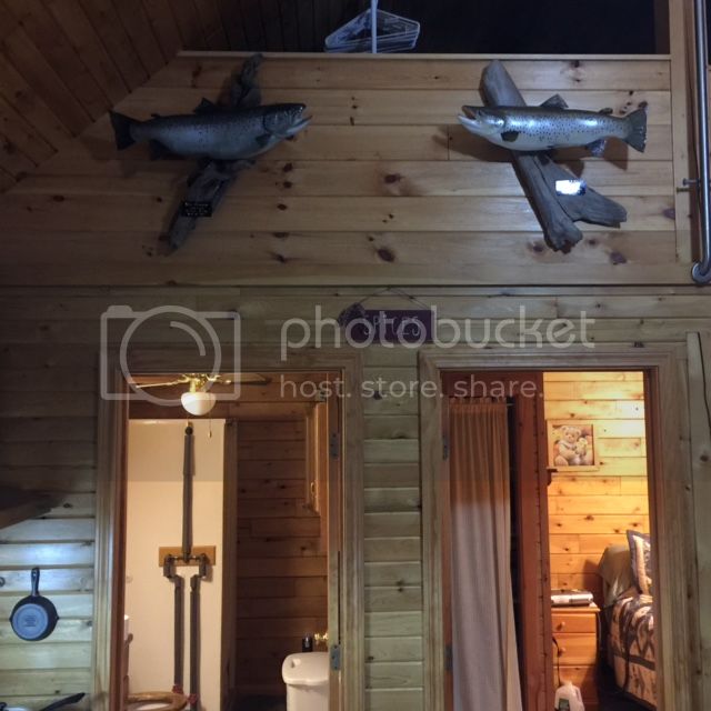 36BBC812-D287-4858-B66F-A2D750348659