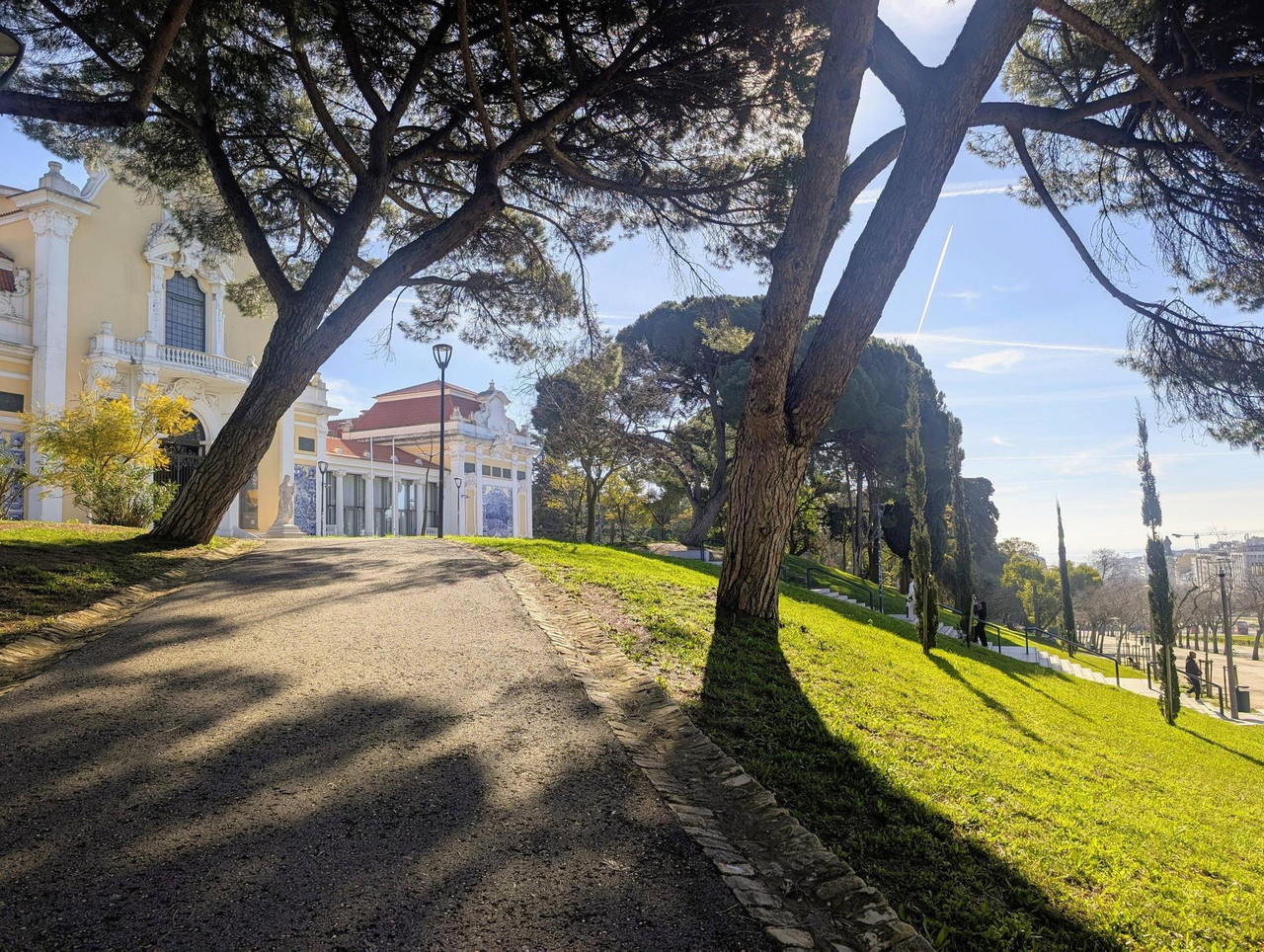 638408900 25529351773431119 9140558636504517482 n