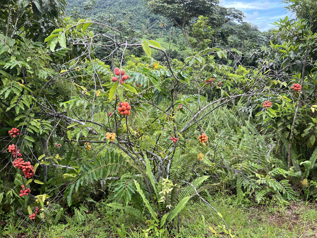 DD0FC51F-F0C1-429E-8497-C00BBA907873