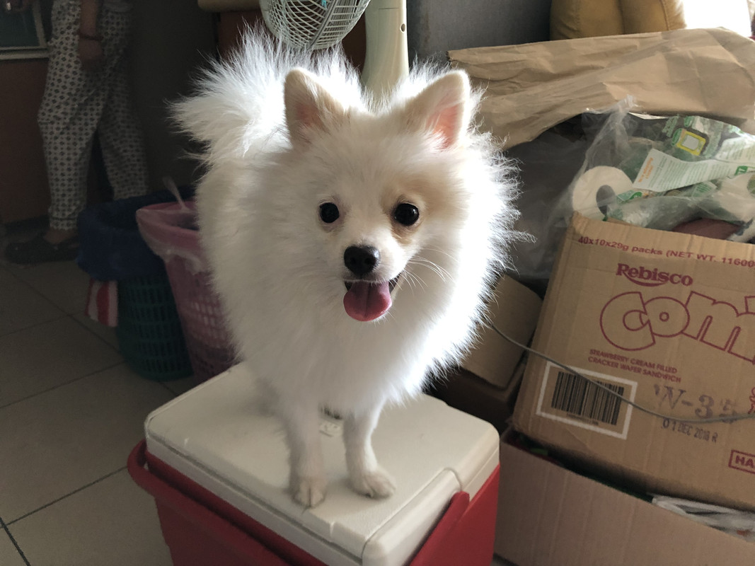 7687E053-96F3-4D4B-8613-B5458E8184CA