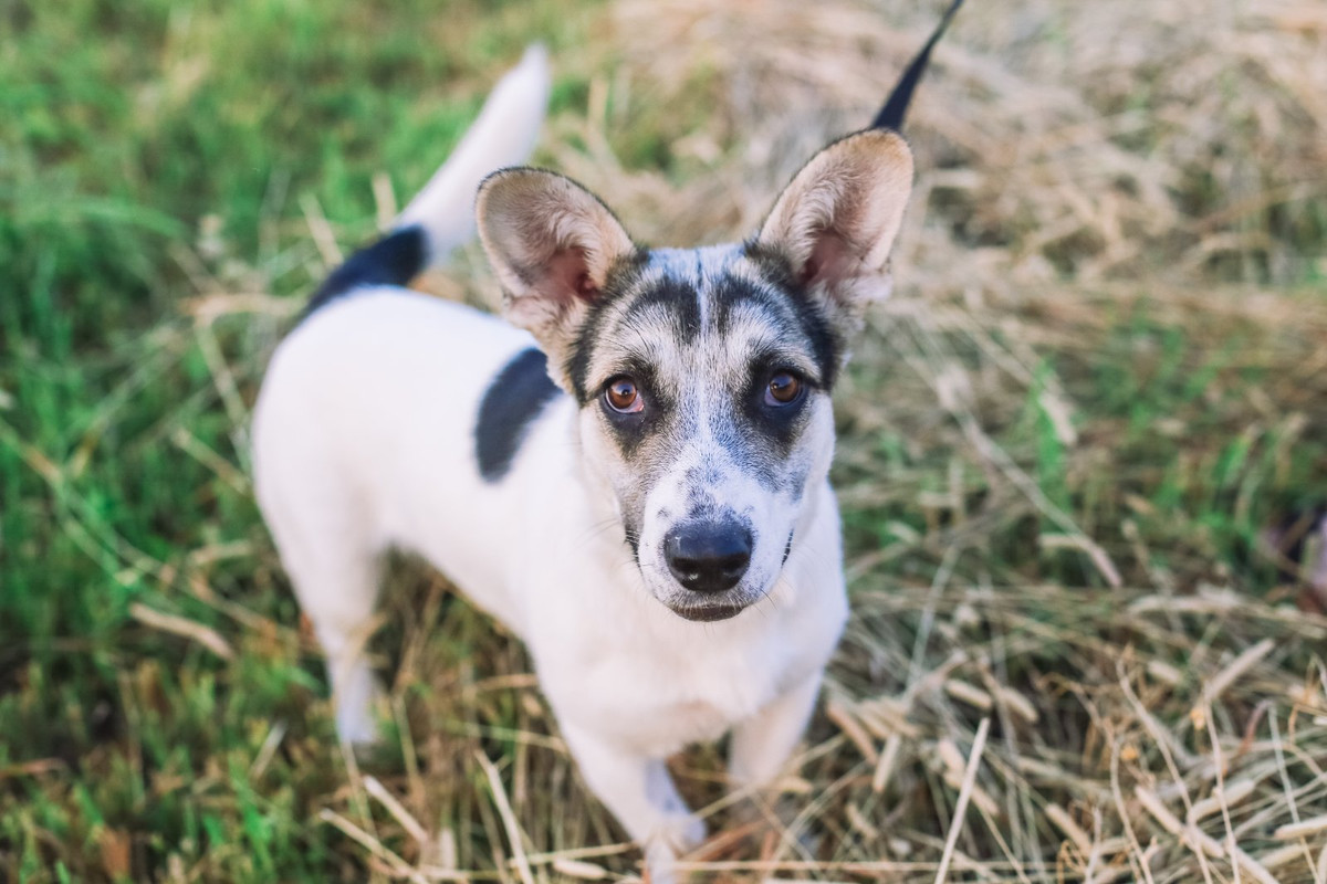 изображение_viber_2022-07-27_12-29-40-330