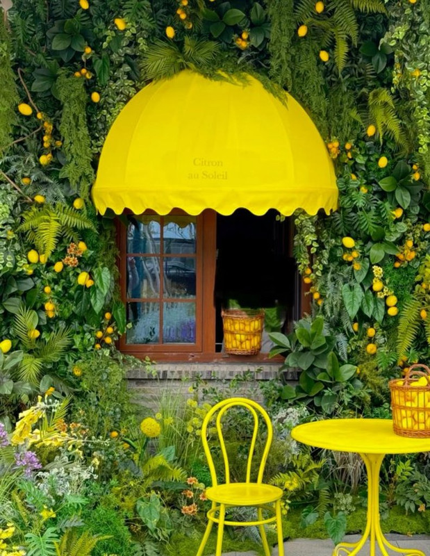 yellow-terrace-windows-shade.jpg