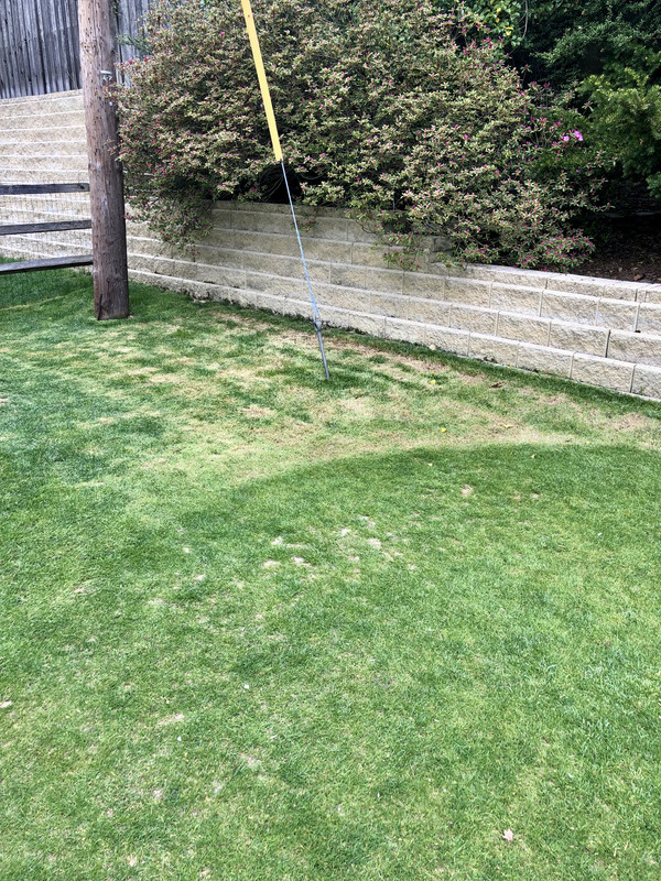 61EFE8F6-798B-430D-ABBA-72B1D981FF3E