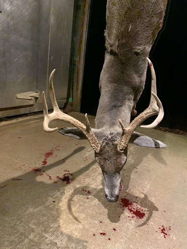 F1B6C48A-A572-4141-9EA5-981AC6268D4A