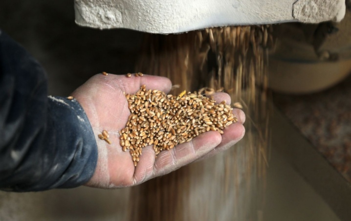 Rusia y Ucrania logran avances para desbloqueo y exportación de cereal ucraniano