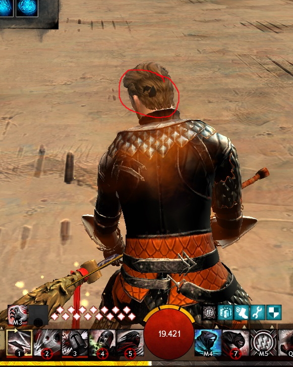 Gw2bughair2