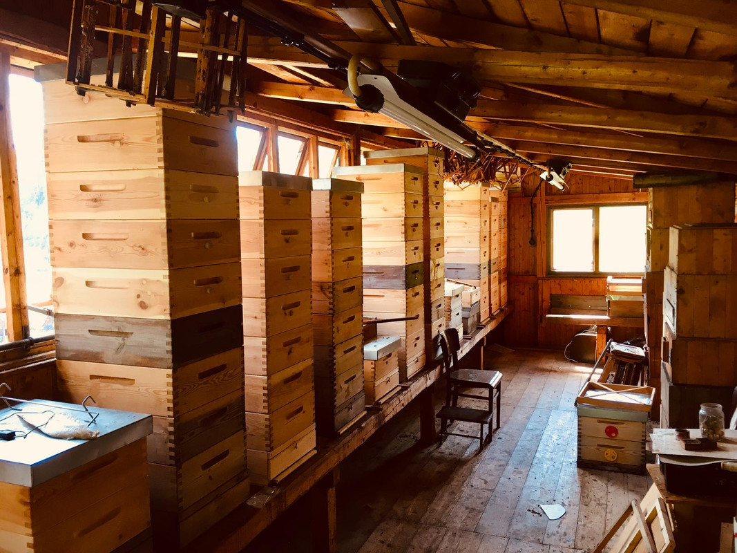 8923454B-16AA-448F-A5DC-40AE04AB4710